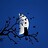 mooncat